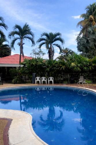 a swimming pool with two chairs and palm trees at Lagos de Samarcanda in Cumaral