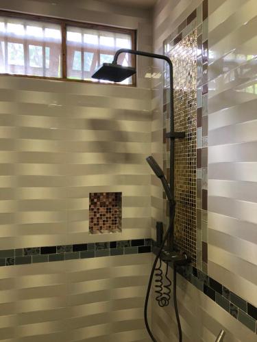 a bathroom with a shower with a shower head at Thresher shark inn in Fuvahmulah