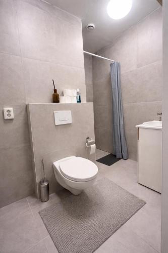 a bathroom with a toilet and a shower at Casaejon in Lelystad