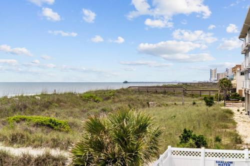 The Beach Is Back photo 35