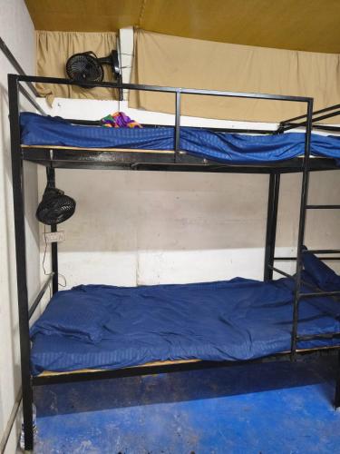 two bunk beds in a room with a blue bed at Cookiewalla in Arambol