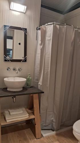a bathroom with a shower curtain and a sink at TinyHome Texcoco in San Miguel Coatlinchán