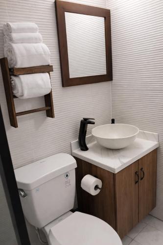 a bathroom with a toilet and a sink and a mirror at The Oxford Suite in Kingston