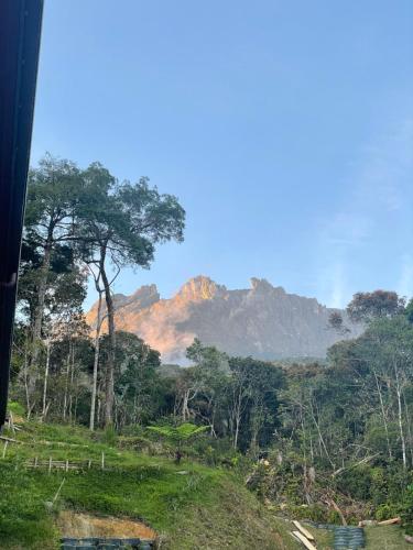 a view of a mountain range from a bus at Tranquera House in Ranau