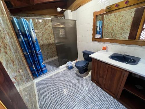 a bathroom with a shower and a toilet and a sink at Mansión Del Arco in San Pedro La Laguna