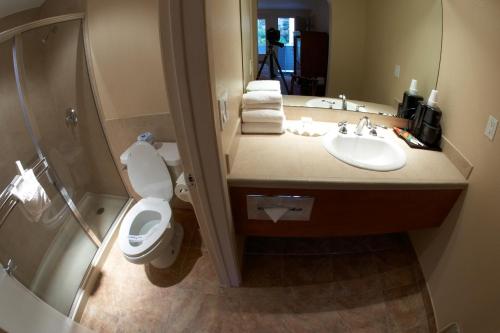 a bathroom with a toilet and a sink and a shower at Premier Inns Tolleson in Phoenix
