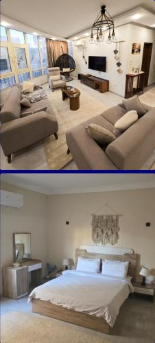 Apartment - Prime Location - Sheikh Zayed