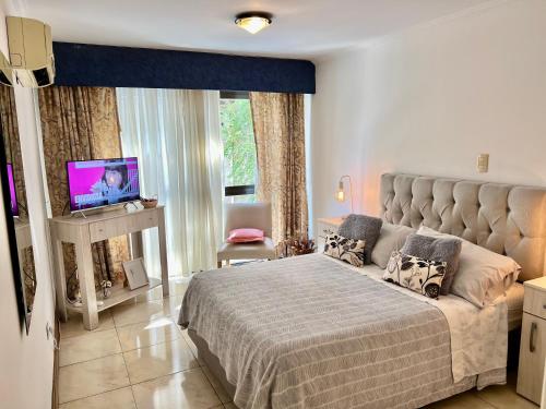 a bedroom with a large bed and a television at MENDOZA Suites 1 -con estacionamiento opcional- in Mendoza