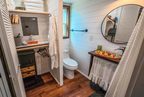 a bathroom with a toilet and a sink and a mirror at The Sundance Tiny Home in Pauma Valley