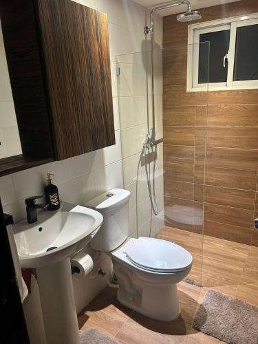 a bathroom with a toilet and a sink and a shower at Millenium Star in Mendoza