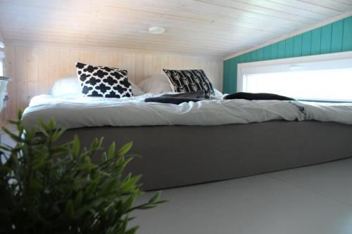 a bed in a small room with a dog laying on it at KE-Tiny Siedlung Haus Charlie in Oerlenbach