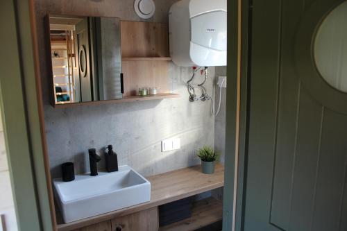 a bathroom with a sink and a mirror at KE-Tiny-Siedlung Haus Buddy in Oerlenbach