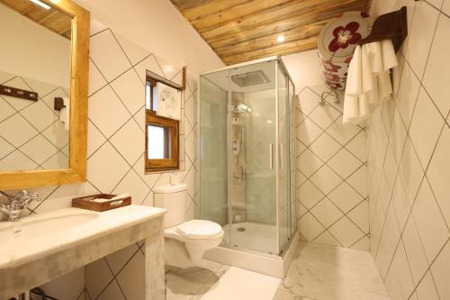 a bathroom with a shower and a toilet and a sink at Rokeby Manor in Mussoorie