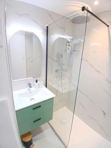 a bathroom with a sink and a shower at Studio calme avec terrasse et piscine in Saint-Vallier-de-Thiey