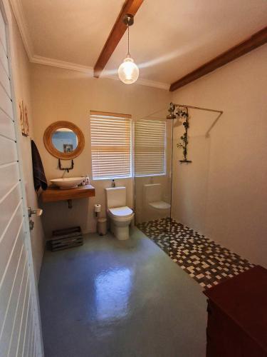 a bathroom with a toilet and a sink and a mirror at SoetHoek Farm Retreat in Alexandria