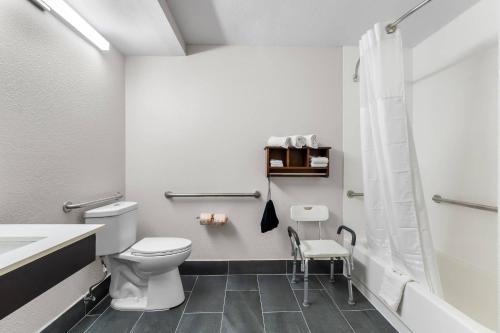 a bathroom with a toilet and a shower at Quality Inn Chattanooga Hamilton Place in Tyner