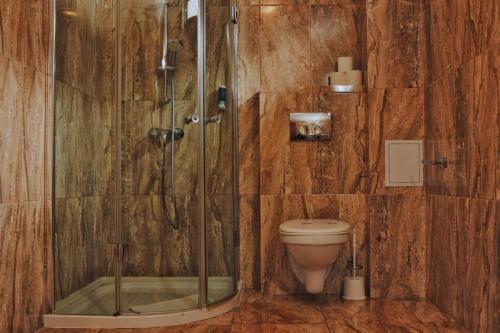 a bathroom with a shower and a toilet at Hotel Dennis in Mediaş