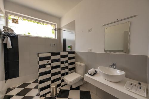 a bathroom with a sink and a toilet and a mirror at Tethys Himalaya Resort in Solan