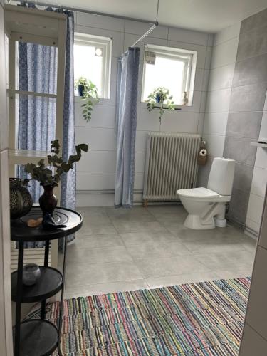 ein Badezimmer mit Toilette und Fenster in der Unterkunft Österlengården in Hammenhög