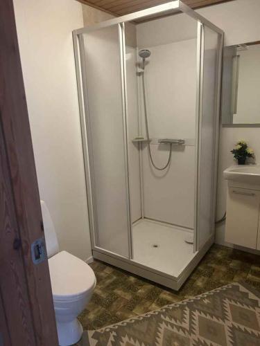 ein Badezimmer mit Dusche und Toilette in der Unterkunft Tåning Bnb in Skanderborg