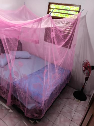 a bedroom with a bed covered in pink mosquito net at Bunaken Jhon Homestay in Manado