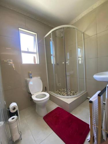 a bathroom with a shower and a toilet and a sink at Zambata Self Catering in Gqeberha