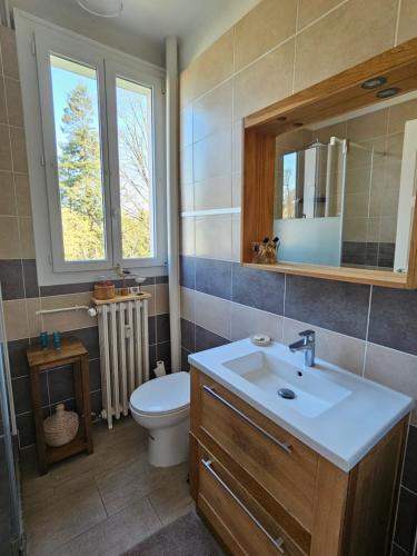 a bathroom with a sink and a toilet and a mirror at La Roseraie in Le Mans