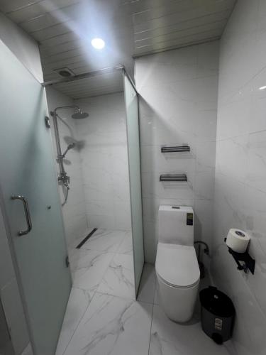 a white bathroom with a toilet and a shower at Alvina Complex in Tsaghkadzor