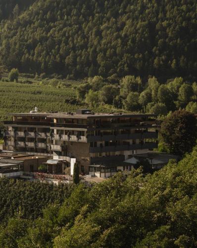 Naturlandskabet i nærheden af hotellet
