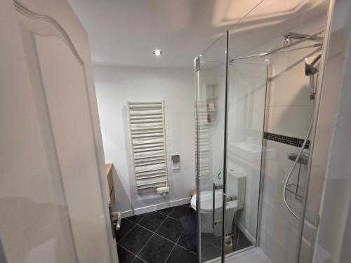 a bathroom with a glass shower and a toilet at Maison de ville entièrement équipée in Argenteuil