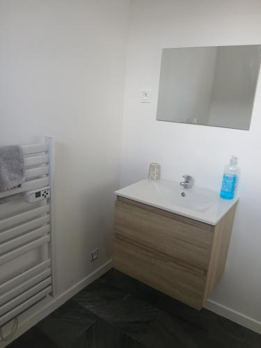 a bathroom with a sink and a mirror at L'Ancienne Etable in Gentelles