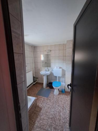 a bathroom with a toilet and a sink at Casa Bunicii in Podu Dîmboviţei