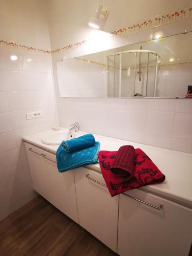 a bathroom with a sink and a mirror at Gîtes & chambre d'Hôtes - AVEZE in Avèze