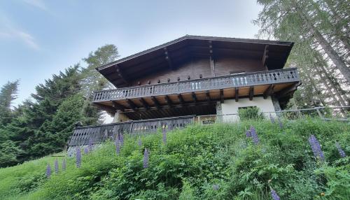 a house on top of a hill with purple flowers at Chalet Alpl - Ferienwohnung Waldblick mit Sauna, Kamin & Whirlwanne in Hochrindl