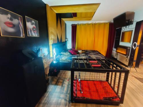 La loveroom bdsm de Nice " la chambre luxe des désirs " photo 10