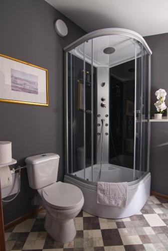 a bathroom with a shower and a toilet in it at Maison BERTHELOT in Bucharest