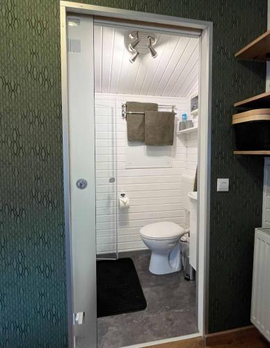 a small bathroom with a toilet and a shower at Ferienhaus Elda in Lahnstein