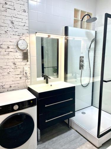 a bathroom with a sink and a washing machine at L'échappée Jurassienne - Tout équipé au calme in Saint-Claude