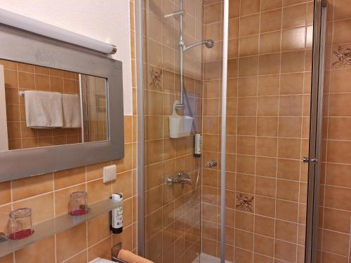 a bathroom with a shower with a mirror and a sink at Villa Bruderfels, Garni in Rodalben