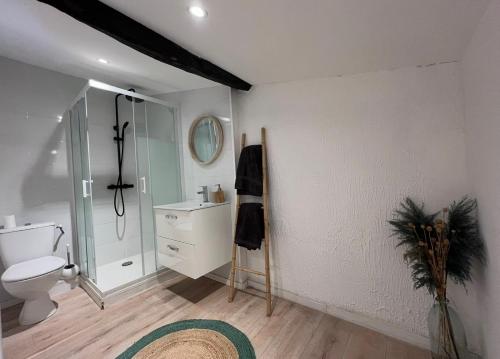 a bathroom with a toilet and a glass shower at T4 proche centre et stade de Rugby in Perpignan