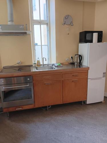 a kitchen with a sink and a refrigerator at B&B SPS Downtown Copenhagen in Copenhagen