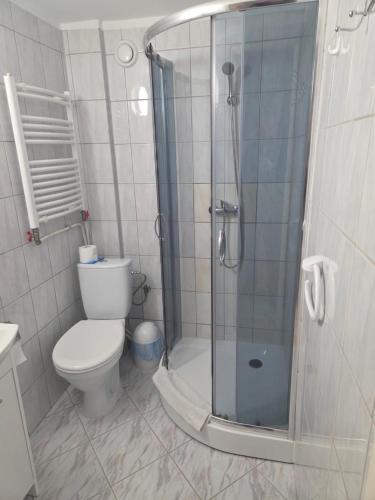 a bathroom with a toilet and a glass shower at Willa AGAT in Ciechocinek