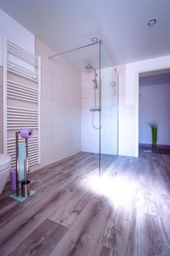 a bathroom with a glass shower and a toilet at Ferienwohnung Nachtweide in Wadgassen