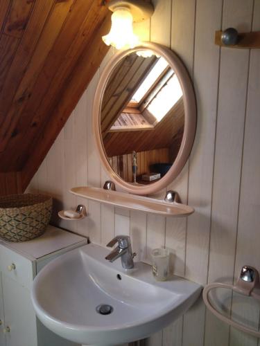 a bathroom with a sink and a mirror at La bien-aîmée in Ploubazlanec