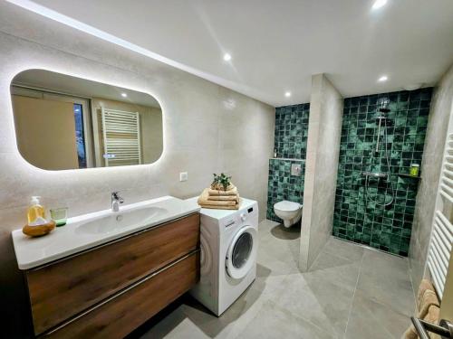 a bathroom with a sink and a washing machine at Appartement Le petit Bretzel in Neuwiller-lès-Saverne