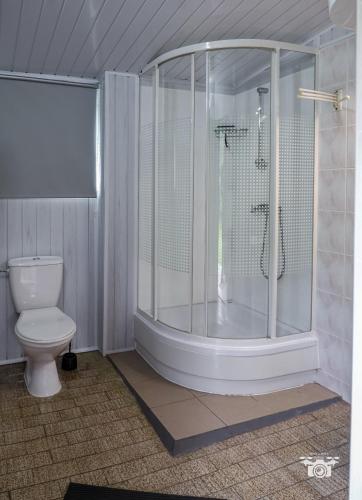 a bathroom with a shower and a toilet at Domek 57m2 - max 5 osób - NR4 in Ciężkowice