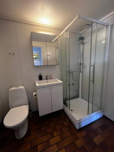 a bathroom with a shower and a toilet and a sink at Stylish 2-bedrooms apartment, smart TV, Netflix, parking - Oslo in Oslo