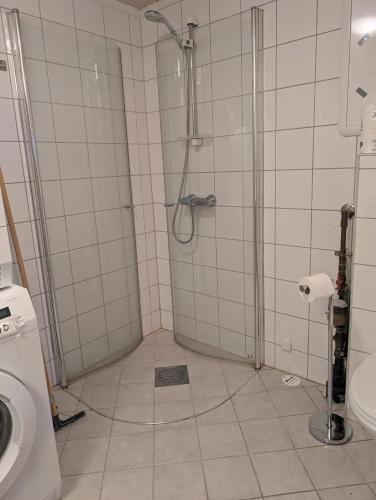 a bathroom with a shower and a toilet at Feriehjemmet in Ringsaker