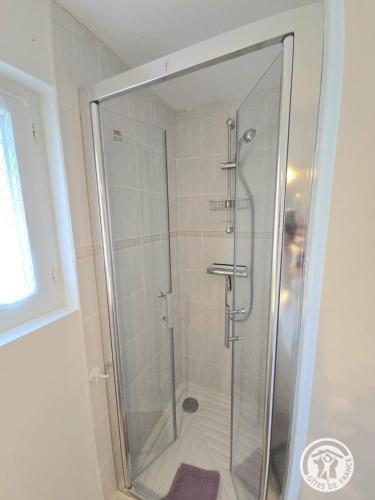 a shower with a glass door in a bathroom at Les 3 métisses-lyia in Le Bugue