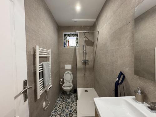 a bathroom with a toilet and a shower and a sink at Le Cocon Maison Reve Excellence in Écommoy